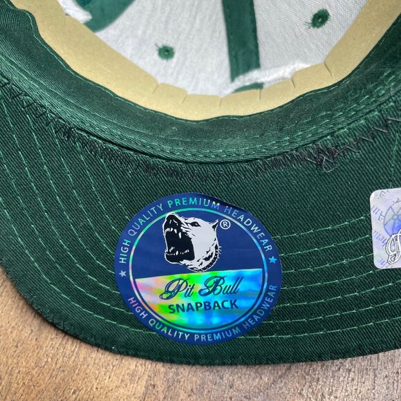 Pit Bull Mens Custom Green Bay Packers Snap Back Hat One Size NFL Football NWT - Picture 4 of 6